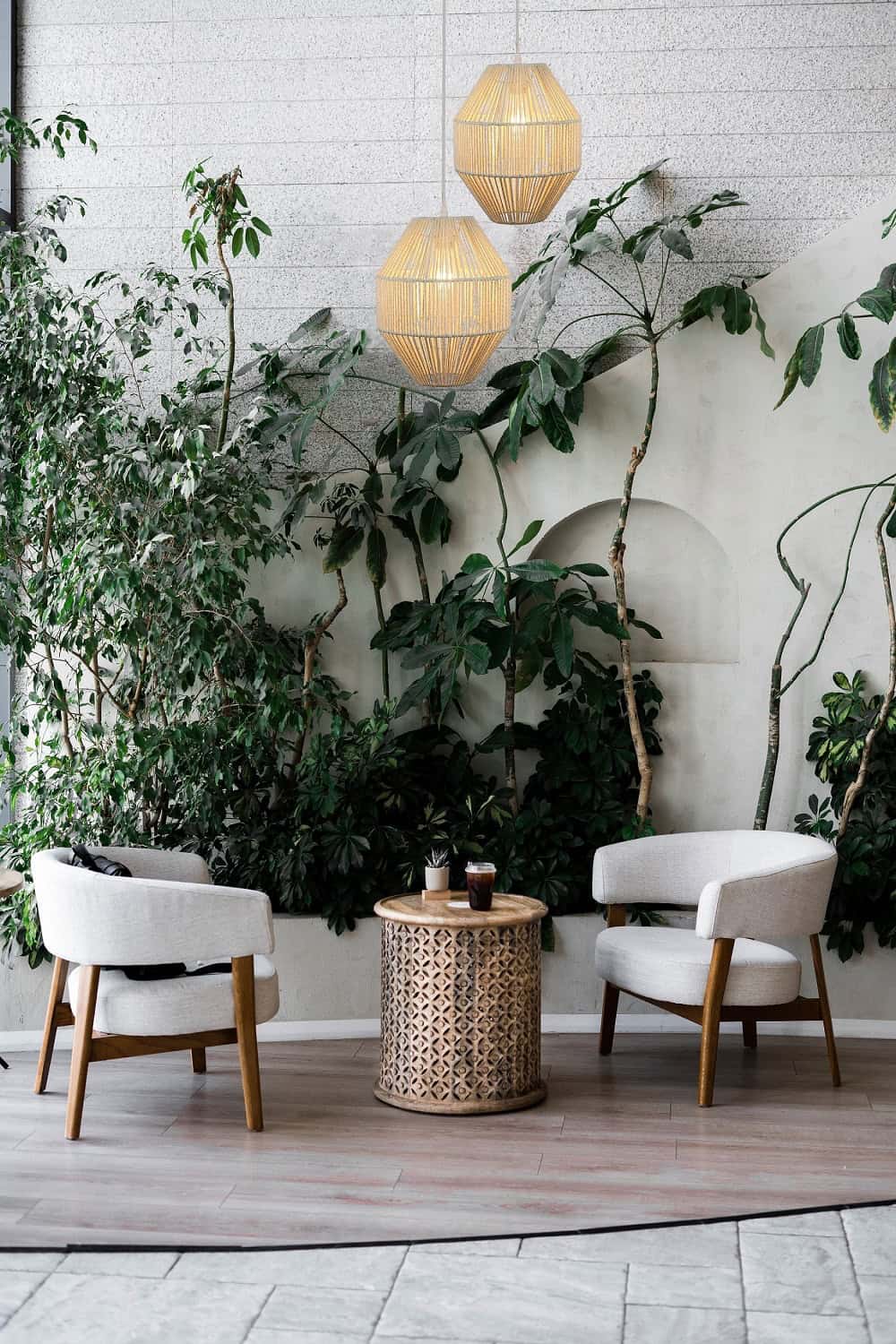 1. Sofás y plantas en espacio interior con iluminación cálida y decoración moderna.