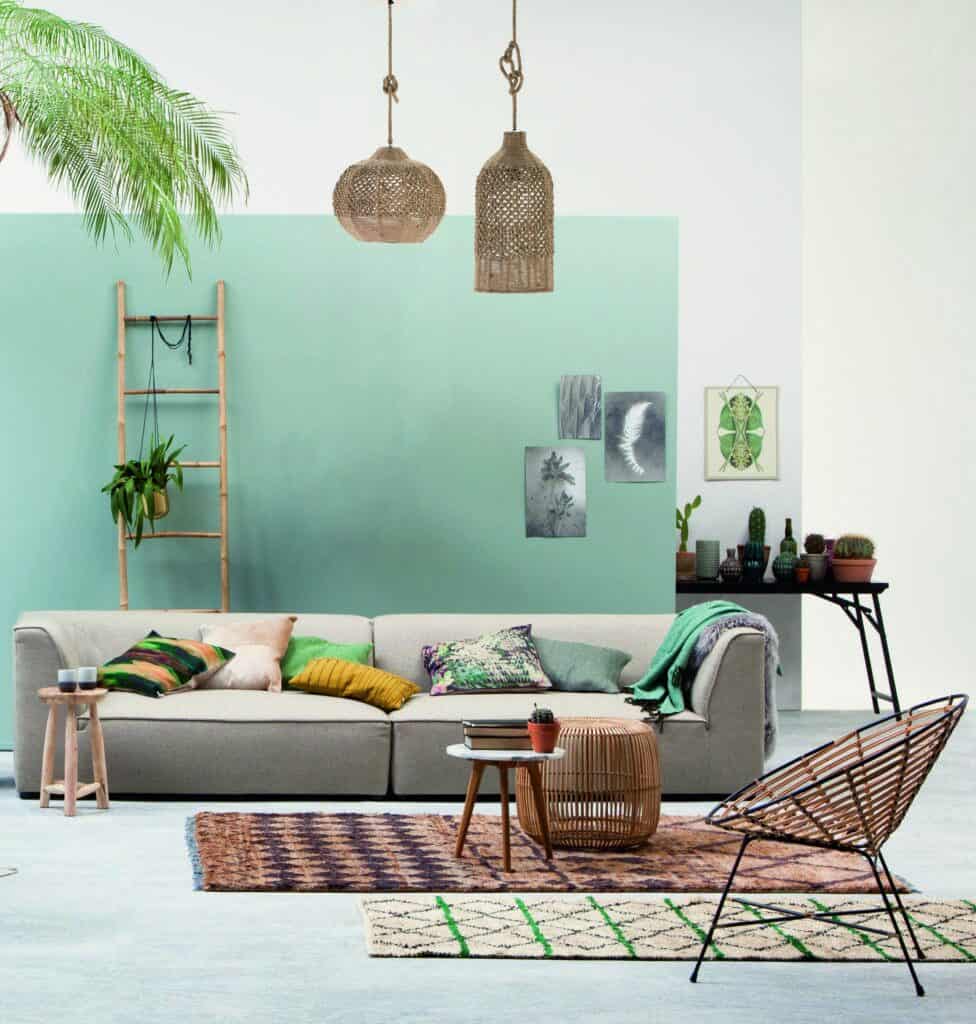 Baltra Eden ambiente